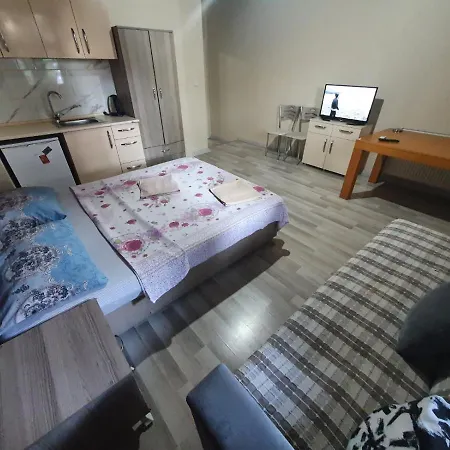 şahin * İstanbul