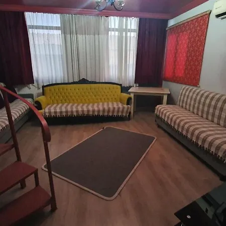 şahin